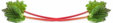 rhubarb_j