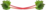 rhubarb_j